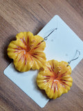 Sunset Hibiscus